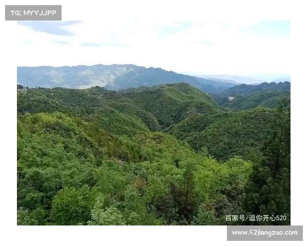 梅加拉亚自然风光与文化魅力探索之旅:深入印度东北的绿色心脏 梅加拉亚自然风光与文化魅力探索之旅:深入印度东北的绿色心脏